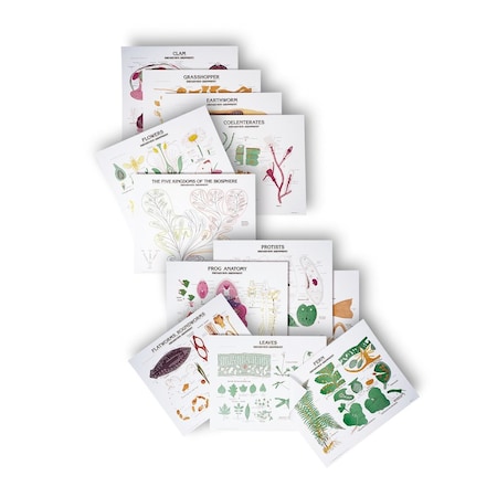 Charts/Posters, Basic Biology Chart Set/20 Multiroller